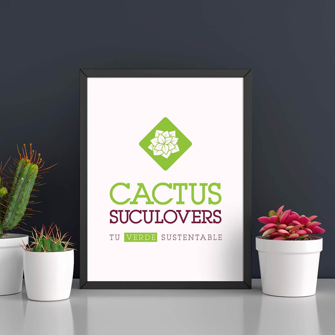 diseno-de-marca-cactus-suculovers